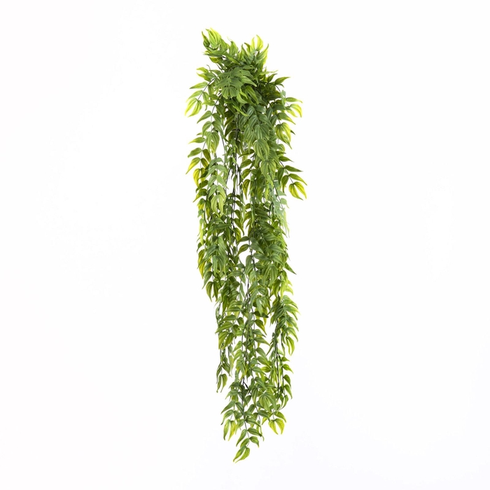 <h4>Desmanthus Hanging Plant in Pot Green GR110054GRN</h4>