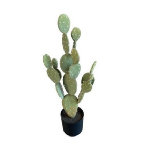 Kunstplanten Pot Cactus d35*83cm