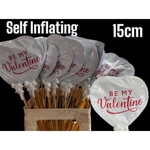 HARTJE OP STOK HART BALLON