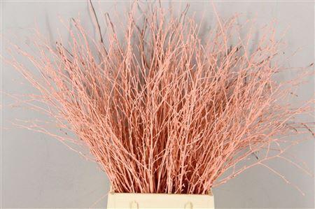 <h4>Berk Apricot Kort</h4>