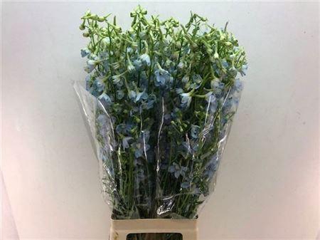 <h4>Delph En Ballkleid 80cm 2-3</h4>