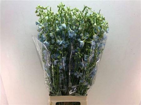 <h4>Delph En Ballkleid</h4>