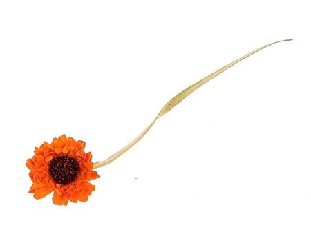 Artificial Flower Germini L50