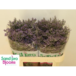 LIM SAF CLASSIC BLUE