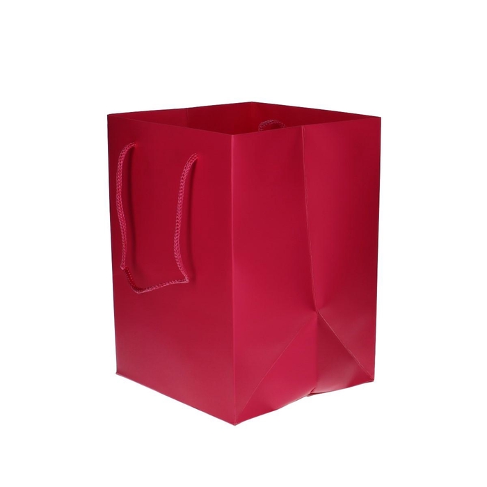 <h4>Olympic 25*18*18cm</h4>