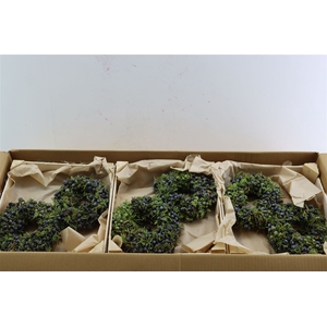 Wr Sierfruit Juniperus Blue 20cm