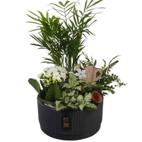 <h4>PTIB5127 Arrangement Indoor in keramiek schaal</h4>