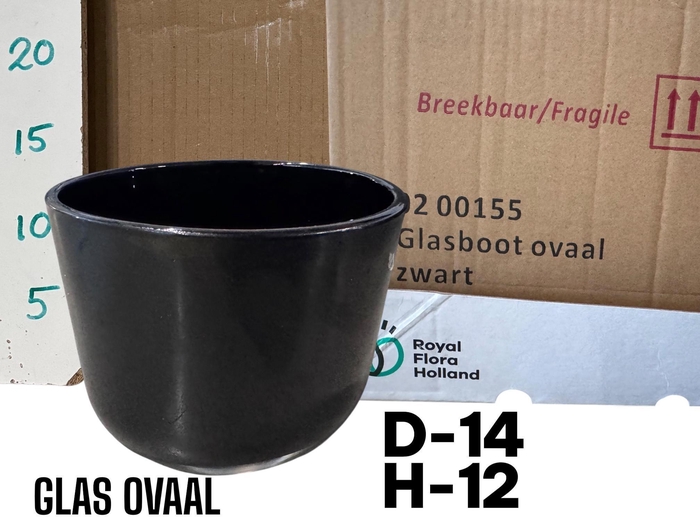 <h4>GLAZEN VAAS H%</h4>