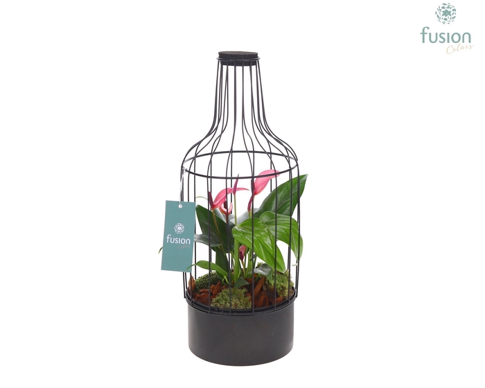 <h4>Metaal fles zwart Medium met Anthurium</h4>