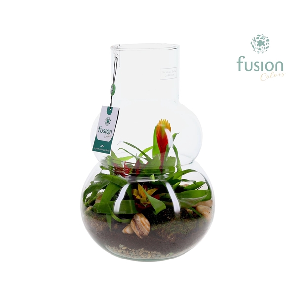 <h4>Green Bottle Olaf Large met Bromelia arrangement</h4>