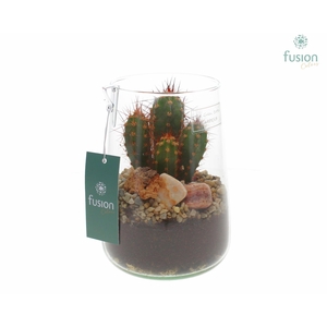 Green Bottle Deline Medium met Cactussen