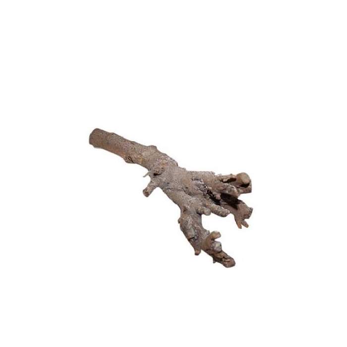 <h4>Droogdeco Kuwa root 40cm</h4>