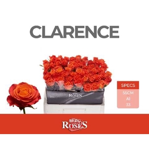 R GR CLARENCE+