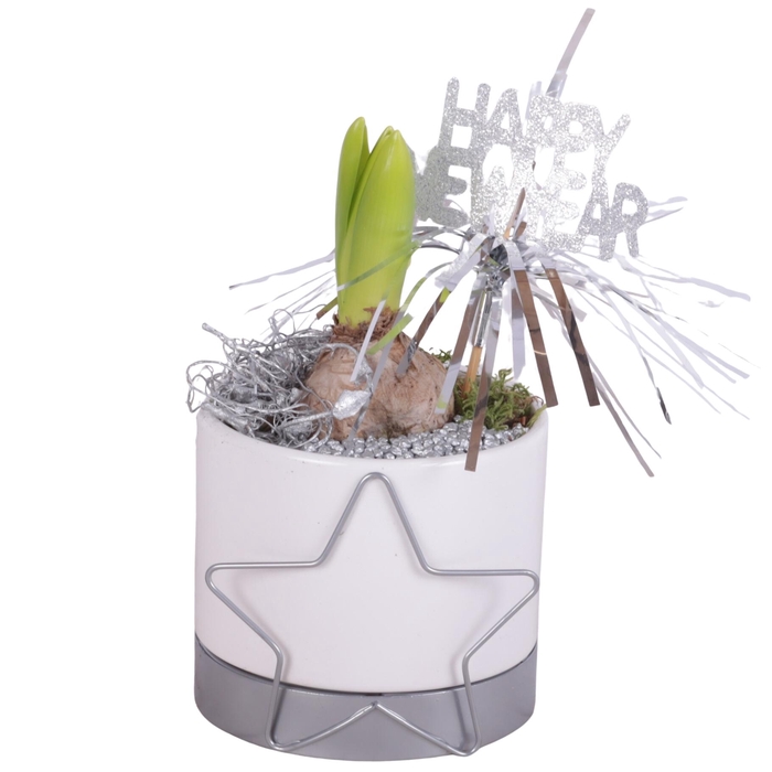 <h4>New Year Arr. Hyacint Ceramic Pot Starframe Silver Ø10cm 1PP</h4>