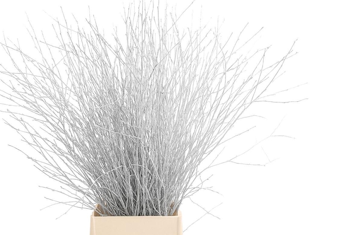 <h4>Berk 70cm Wit Pbs</h4>