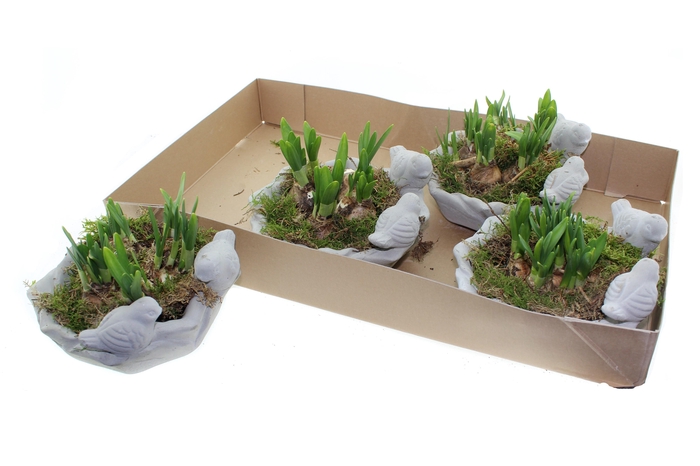 <h4>ARR N TETE A TETE</h4>