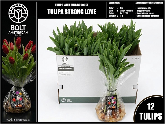 <h4>TU EN STRONG LOVE</h4>