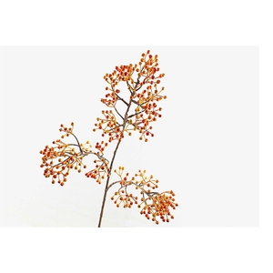 Corallo Berry Spray Orange LV330083ORA