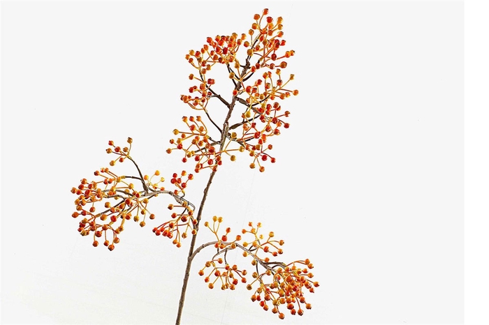 <h4>Corallo Berry Spray Orange LV330083ORA</h4>