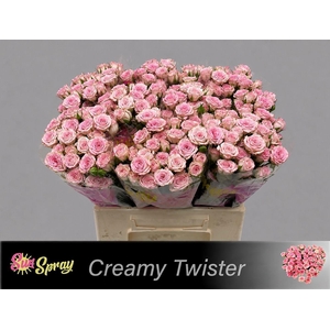 R TR CREAMY TWISTER