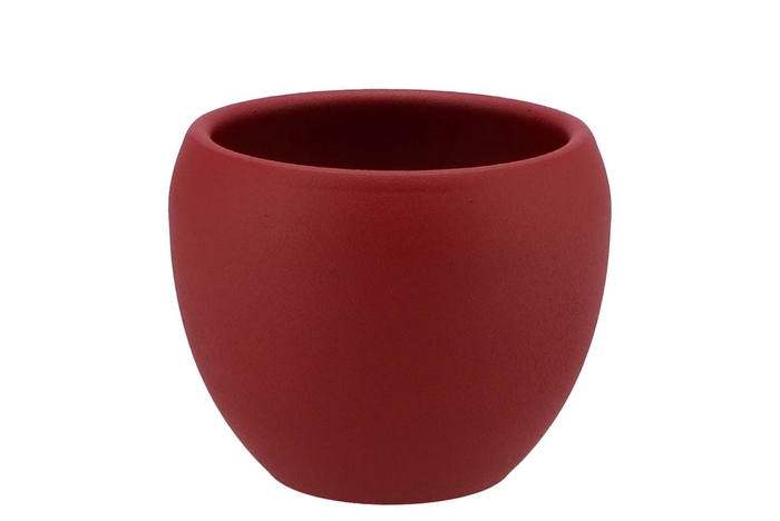 Vinci Red Velvet Flower Pot 14x11cm 2025 Nm