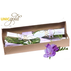 UG Barendse - Blue Bayou box