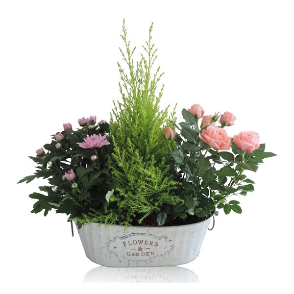 <h4>Collectie Dex Arrangement in Zinken Schaal 30 cm</h4>