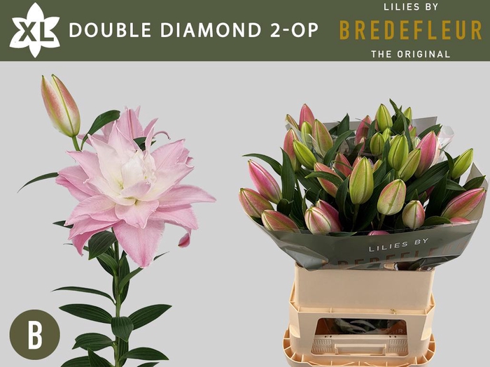 Li Or Du Dou Diamond