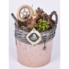 Wilg rand met terra pot 16cm