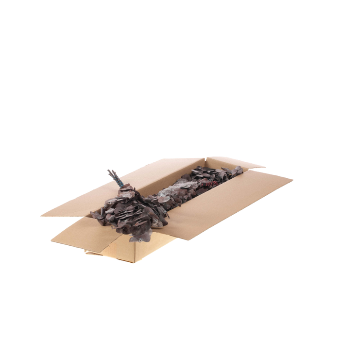 <h4>Eucalyptus True Blue Preserved A Sb Light Brown</h4>