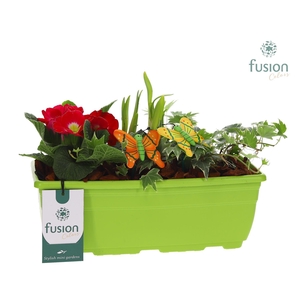 Plastic Balkonbak met arrangement