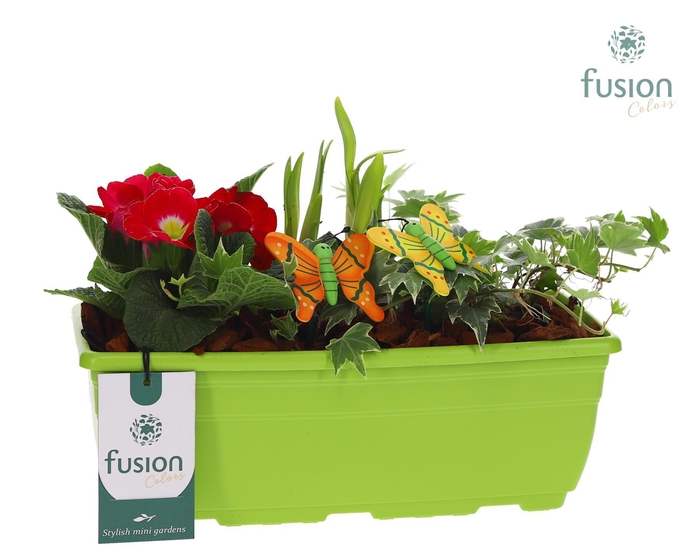 <h4>Plastic Balkonbak met arrangement</h4>