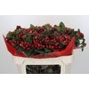 Hypericum True Romance Spray
