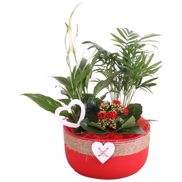 <h4>Valentine Arr. Indoor Ceramic Bowl Round Rope Heart Red Ø20cm3PP</h4>