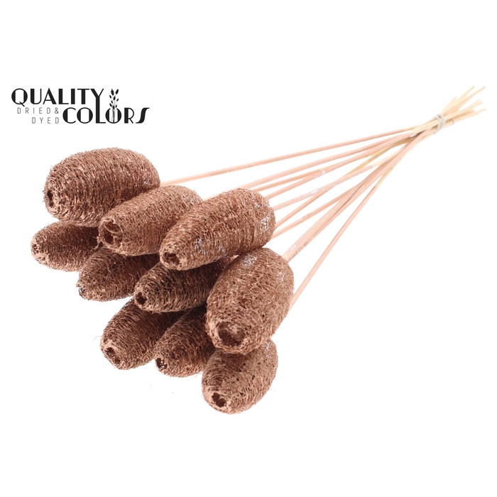 <h4>Luffa Mini on stem Copper</h4>