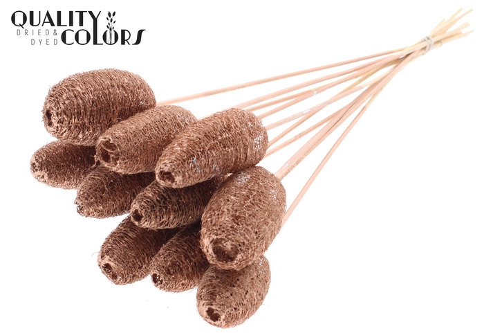Luffa Mini on stem Copper