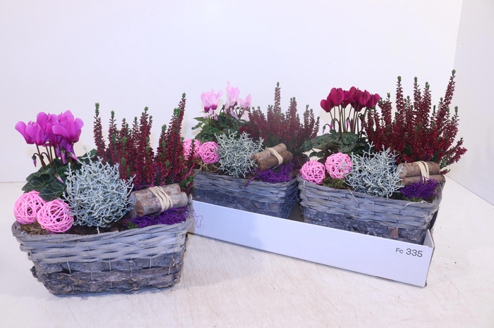 <h4>ARR TUINPLANTEN</h4>