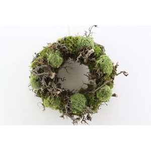Wr Bonsai Mix Boll Moss 45cm