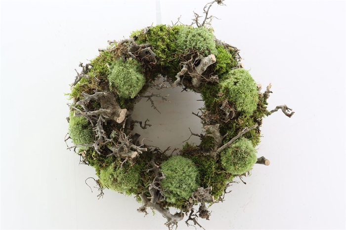 <h4>Wr Bonsai Mix Boll Moss 45cm</h4>