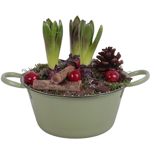 Winter Arr. Hyacint Zinc Bowl With Handles Green Ø20cm 3PP