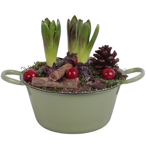 <h4>Winter Arr. Hyacint Zinc Bowl With Handles Green Ø20cm 3PP</h4>