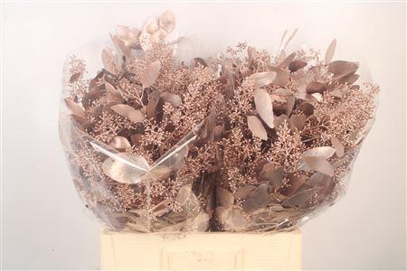 <h4>Euca Populus Berry V Champagne</h4>