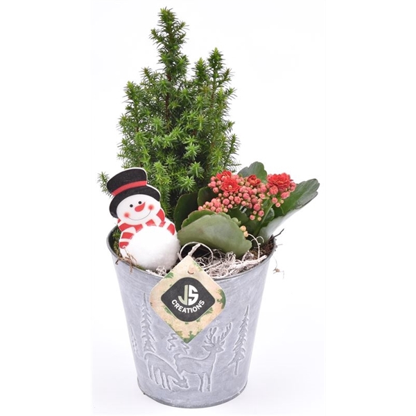 <h4>Arrangementen kamerplanten 6%</h4>