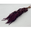 Dried Amaranthus Red Bunch