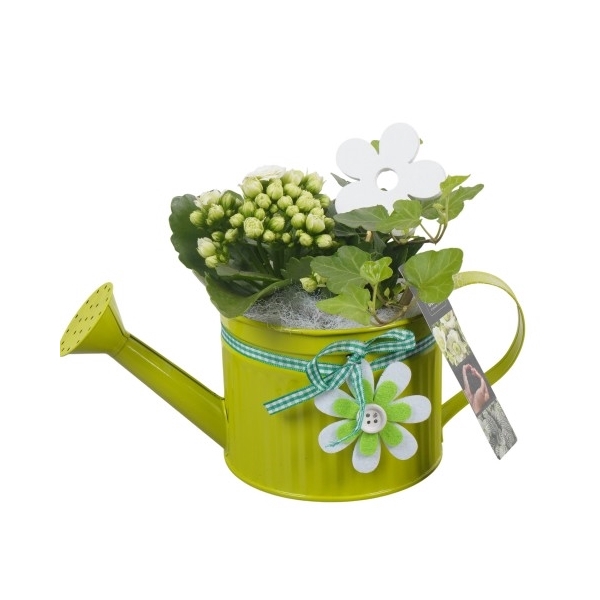 <h4>PTIB6613 Arrangement Indoor in metalen gieter</h4>