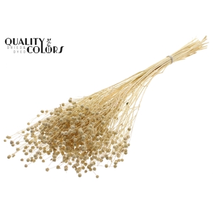 Lino Vlas per bunch in poly Intense Frosted White