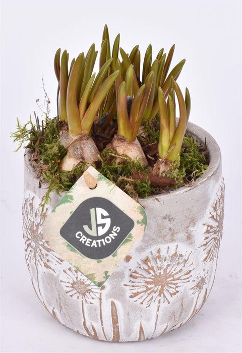 <h4>Cement pot bloemdecor 11,5cm</h4>