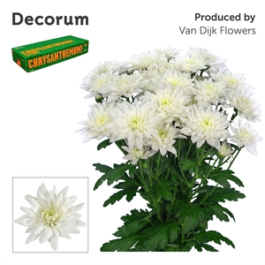 Chr T Baltica Decorum