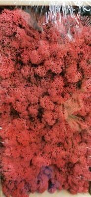 <h4>IJSLANDSMOS NR 63 BORDEAUX P.DS</h4>