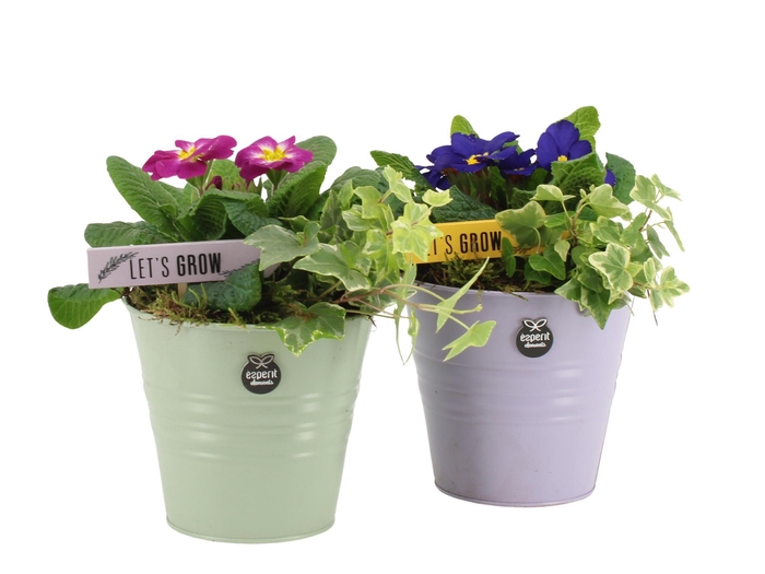 <h4>11428: Outdoor spring arrangement</h4>